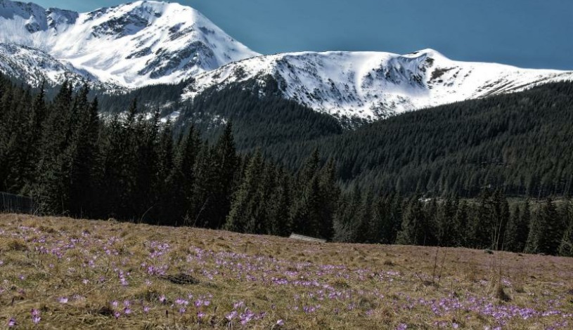 Hotel CROCUS **** Vysoké Tatry